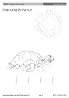 One turtle in the sun